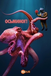 Постер «Осьминог!»