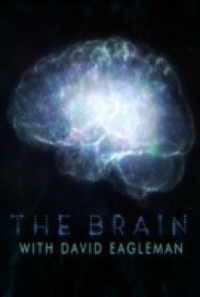 Постер «Мозг с Дэвидом Иглменом»