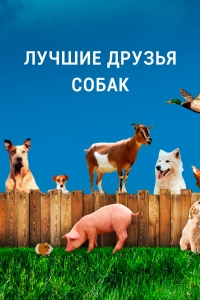 Постер «Лучшие друзья собаки»