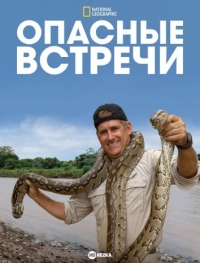 Постер «Опасные встречи»