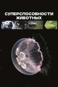 Постер «Суперспособности животных (2015)»