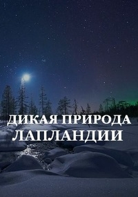 Постер «Дикая природа Лапландии»