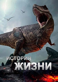 Постер «История жизни (2012)»