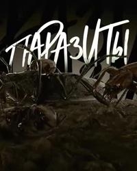 Постер «Паразиты»