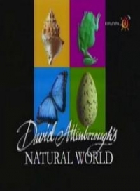 Постер «Наедине с природой»