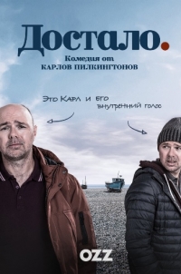 Постер «Достало»