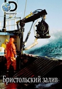 Постер «Бристольский залив»