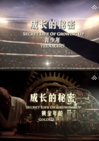 Постер «Тайны взросления»