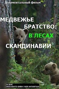 Постер «Медвежье братство. В лесах Скандинавии»