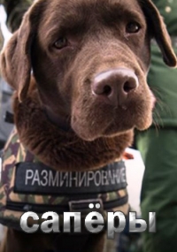 Постер «Саперы»