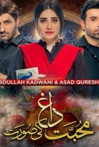 Постер «Шрамы любви»