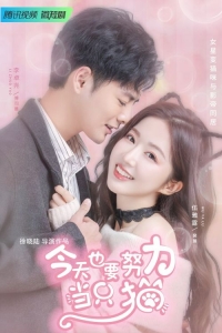 Постер «Моя любимая кошечка»