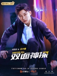 Постер «Двухсторонний детектив»