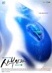 Постер «Доктора акушеры-гинекологи»