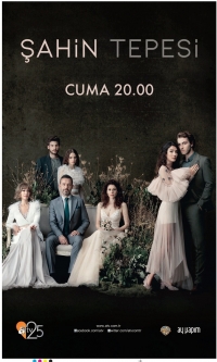 Постер «Соколиный холм»