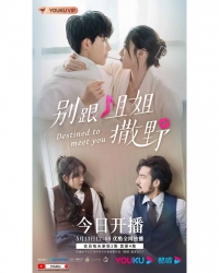 Постер «Суждено встретиться с тобой»